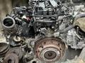 Двигатель Ford Focus за 400 000 тг. в Алматы – фото 4