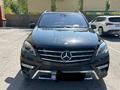 Mercedes-Benz ML 350 2012 годаүшін18 999 000 тг. в Алматы