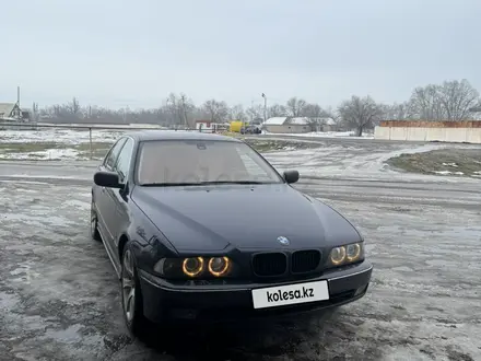 BMW 528 2000 года за 4 500 000 тг. в Тараз – фото 2