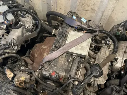 Двигатель и АКПП на Honda Odyssey 2, 3 (2 vd) за 1 133 тг. в Алматы