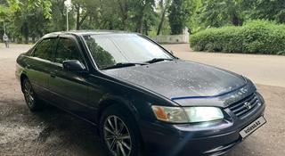 Toyota Camry 1999 года за 3 100 000 тг. в Алматы