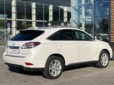 Lexus RX 350 2009 годаүшін10 600 000 тг. в Костанай – фото 5