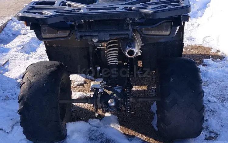 Tao Motor  200 Lux 2024 года за 500 000 тг. в Кокшетау