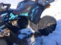 Tao Motor  200 Lux 2024 года за 500 000 тг. в Кокшетау – фото 2