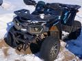 Tao Motor  200 Lux 2024 года за 500 000 тг. в Кокшетау – фото 3