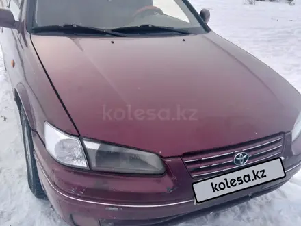 Toyota Camry 1999 года за 1 900 000 тг. в Усть-Каменогорск