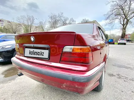BMW 323 1994 года за 2 390 000 тг. в Алматы – фото 4