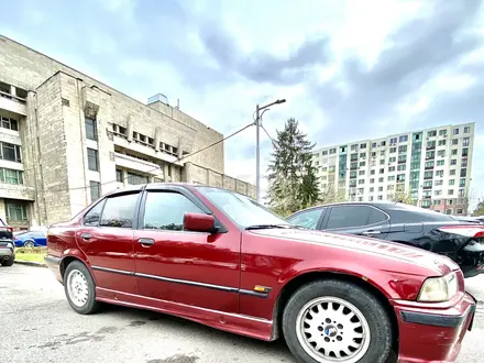 BMW 323 1994 года за 2 390 000 тг. в Алматы – фото 3