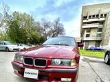 BMW 323 1994 года за 2 390 000 тг. в Алматы