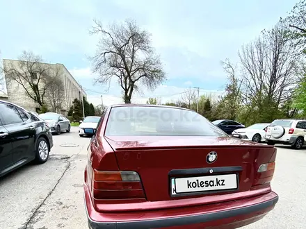 BMW 323 1994 года за 2 390 000 тг. в Алматы – фото 5