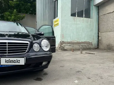 Mercedes-Benz E 55 AMG 1997 года за 5 000 000 тг. в Алматы – фото 4