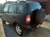 Chevrolet Niva 2010 годаfor2 850 000 тг. в Усть-Каменогорск – фото 2