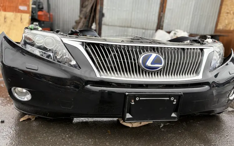 Ноускат (мини морда) за 1 000 тг. в Алматы