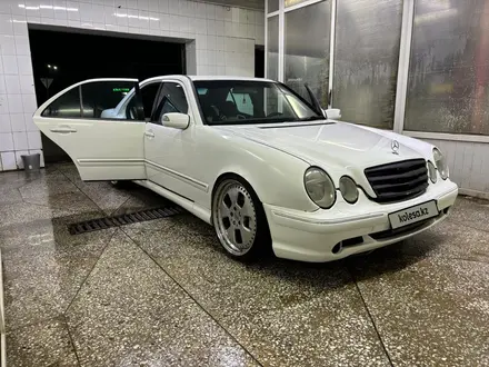 Mercedes-Benz E 55 AMG 2000 года за 9 500 000 тг. в Алматы – фото 3