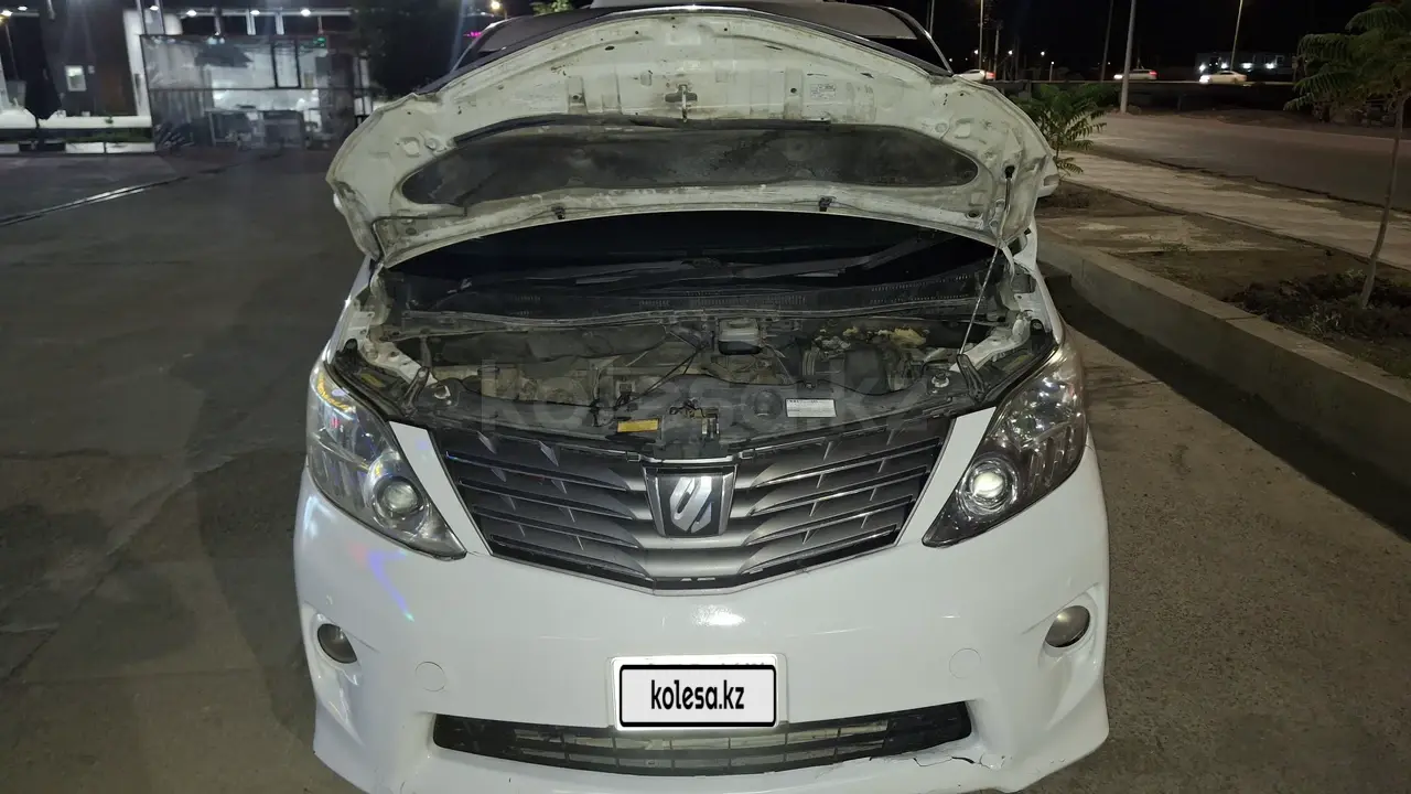 Toyota Alphard, 2010