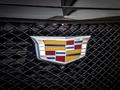 Cadillac Escalade Sport 2023 годаfor82 000 000 тг. в Алматы – фото 5