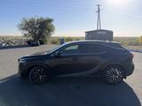 Lexus RX 350 2023 года за 29 500 000 тг. в Семей – фото 3