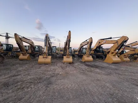 Cat Rental в Астана – фото 11