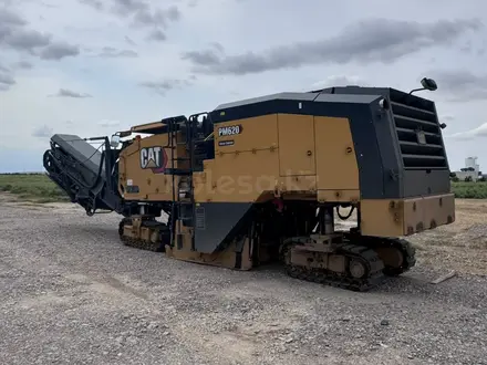 Cat Rental в Астана – фото 12