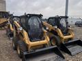 Cat Rental в Астана – фото 2
