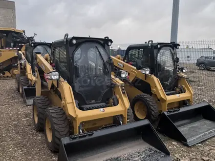 Cat Rental в Астана – фото 2