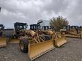 Cat Rental в Астана – фото 6
