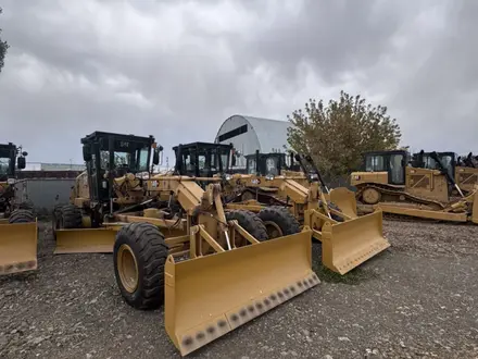 Cat Rental в Астана – фото 6