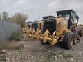 Cat Rental в Астана – фото 7