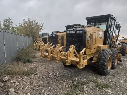 Cat Rental в Астана – фото 7