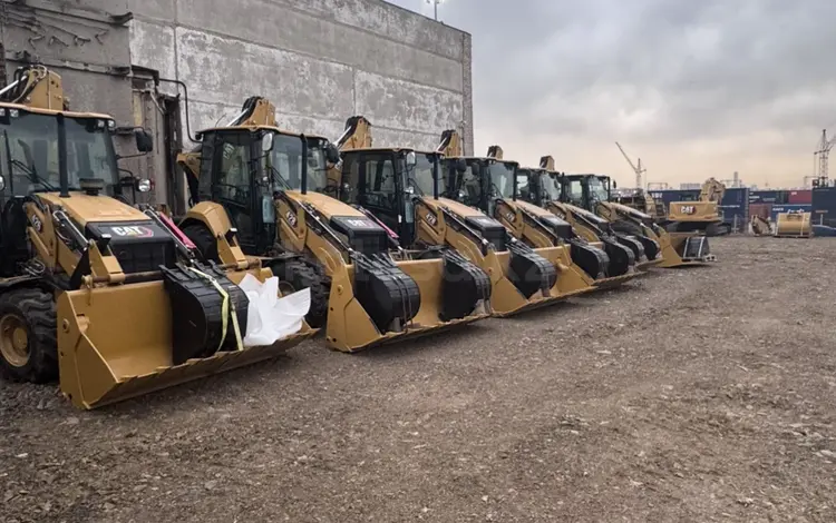 Cat Rental в Астана