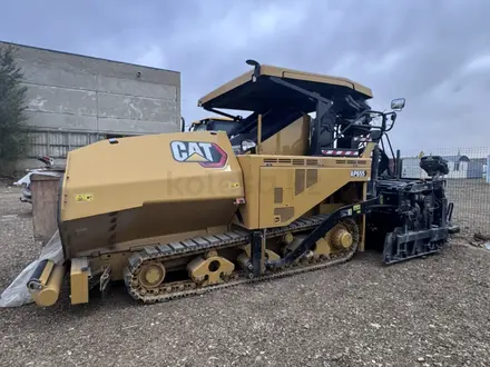 Cat Rental в Астана – фото 9