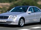 Стекло ФАРЫ Mercedes-BENZ E-Class w211 (2002 — 2009 Г. В.) за 16 900 тг. в Алматы – фото 2