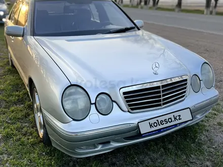 Mercedes-Benz E 55 AMG 2000 года за 6 000 000 тг. в Алматы – фото 3