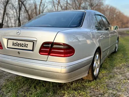 Mercedes-Benz E 55 AMG 2000 года за 6 000 000 тг. в Алматы – фото 10