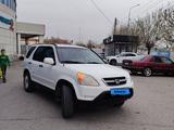 Honda CR-V 2004 года за 5 000 000 тг. в Шымкент – фото 3