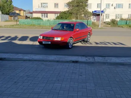 Audi 100 1992 года за 1 900 000 тг. в Щучинск – фото 51