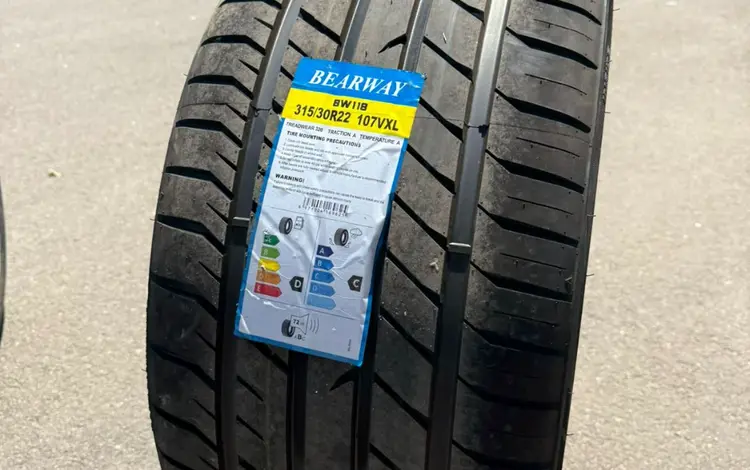 BEARWAY BW118 315/30 R22 107VXL за 75 000 тг. в Алматы