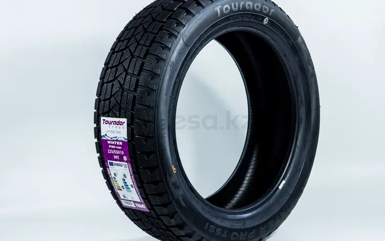 225/55R19 99T — Tourador WINTER PRO TSS1 за 45 000 тг. в Алматы