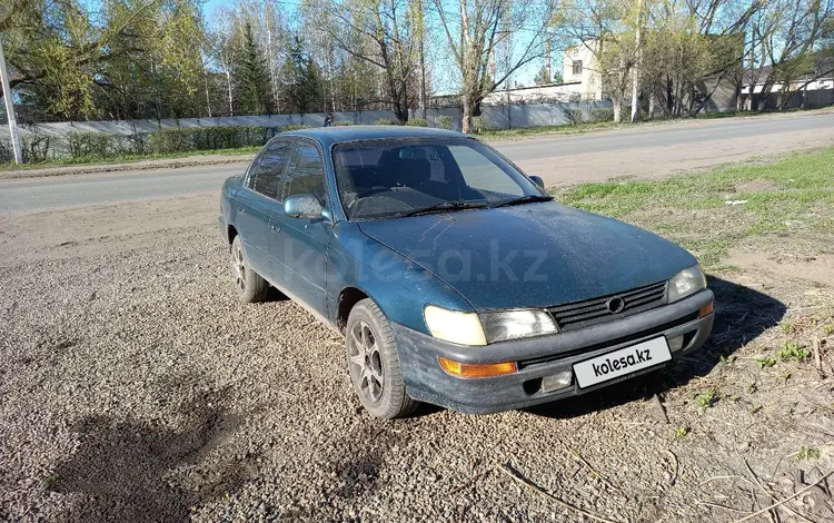 Toyota Corolla 1991 годаүшін1 500 000 тг. в Петропавловск
