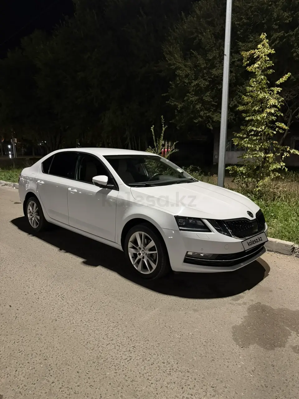 Skoda Octavia, 2019