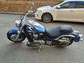 Kawasaki  Vulcan 900 classic 2008 года за 2 900 000 тг. в Алматы – фото 5