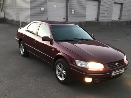 Toyota Camry 1998 года за 3 900 000 тг. в Талдыкорган – фото 11