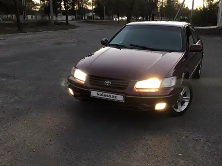 Toyota Camry 1998 года за 3 900 000 тг. в Талдыкорган – фото 14