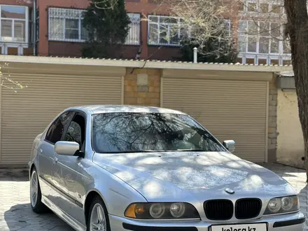 BMW 525 2000 года за 5 000 000 тг. в Тараз – фото 6