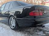 Mercedes-Benz E 55 AMG 1999 годаүшін5 500 000 тг. в Алматы – фото 3