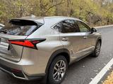 Lexus NX 200 2017 годаүшін16 500 000 тг. в Семей – фото 4