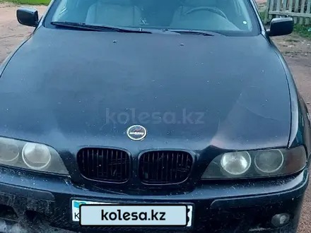 BMW 520 1996 года за 3 200 000 тг. в Макинск