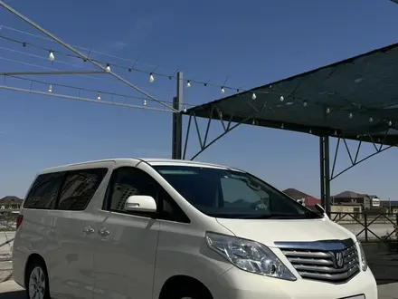 Toyota Alphard 2010 года за 10 000 000 тг. в Шымкент – фото 3