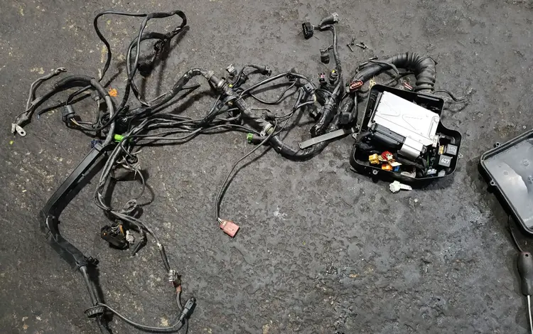 Коса проводов по двигателю на Ауди А6С5 2.4л рестайлинг за 45 000 тг. в Караганда