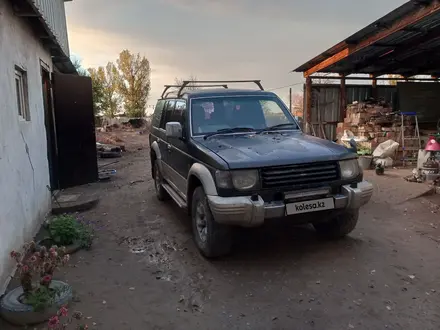 Mitsubishi Pajero 1993 года за 1 500 000 тг. в Баканас